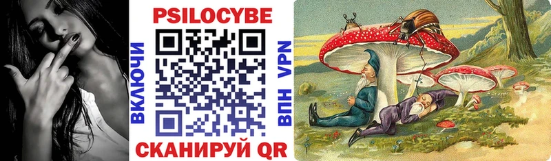 как найти   Жирновск  Галлюциногенные грибы ЛСД 